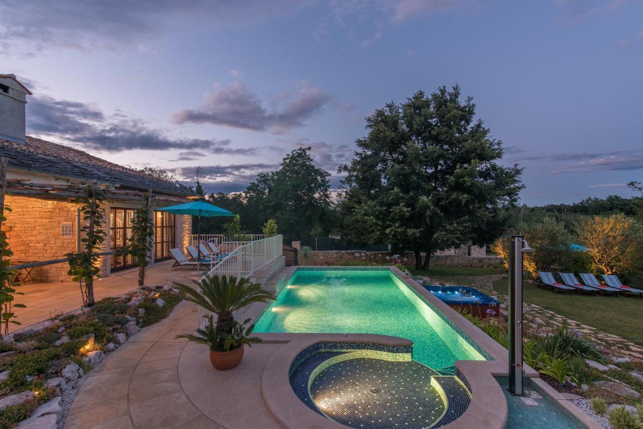 Family Villa Lipica With Private Pool And Jacuzzi 帕津 外观 照片
