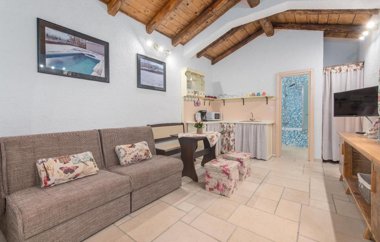 Family Villa Lipica With Private Pool And Jacuzzi 帕津 外观 照片