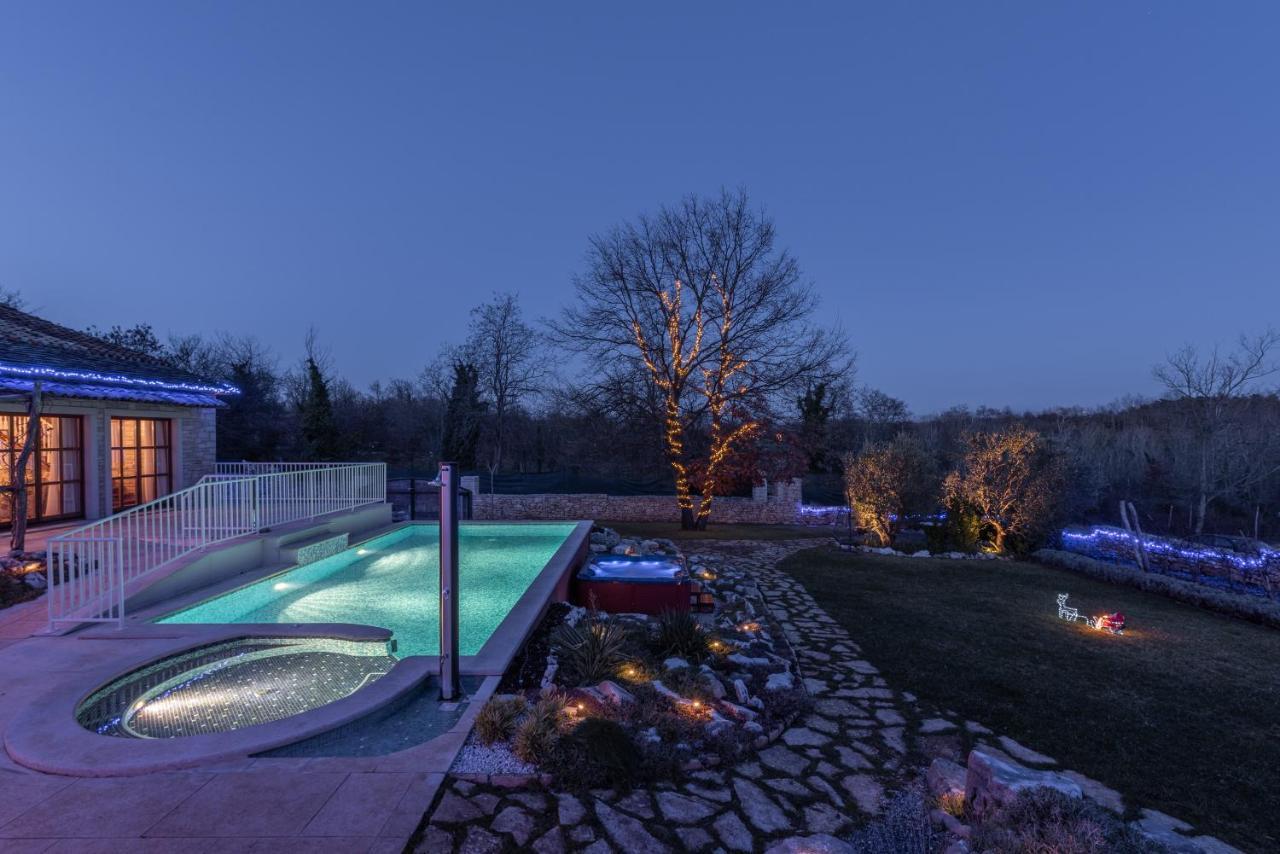Family Villa Lipica With Private Pool And Jacuzzi 帕津 外观 照片