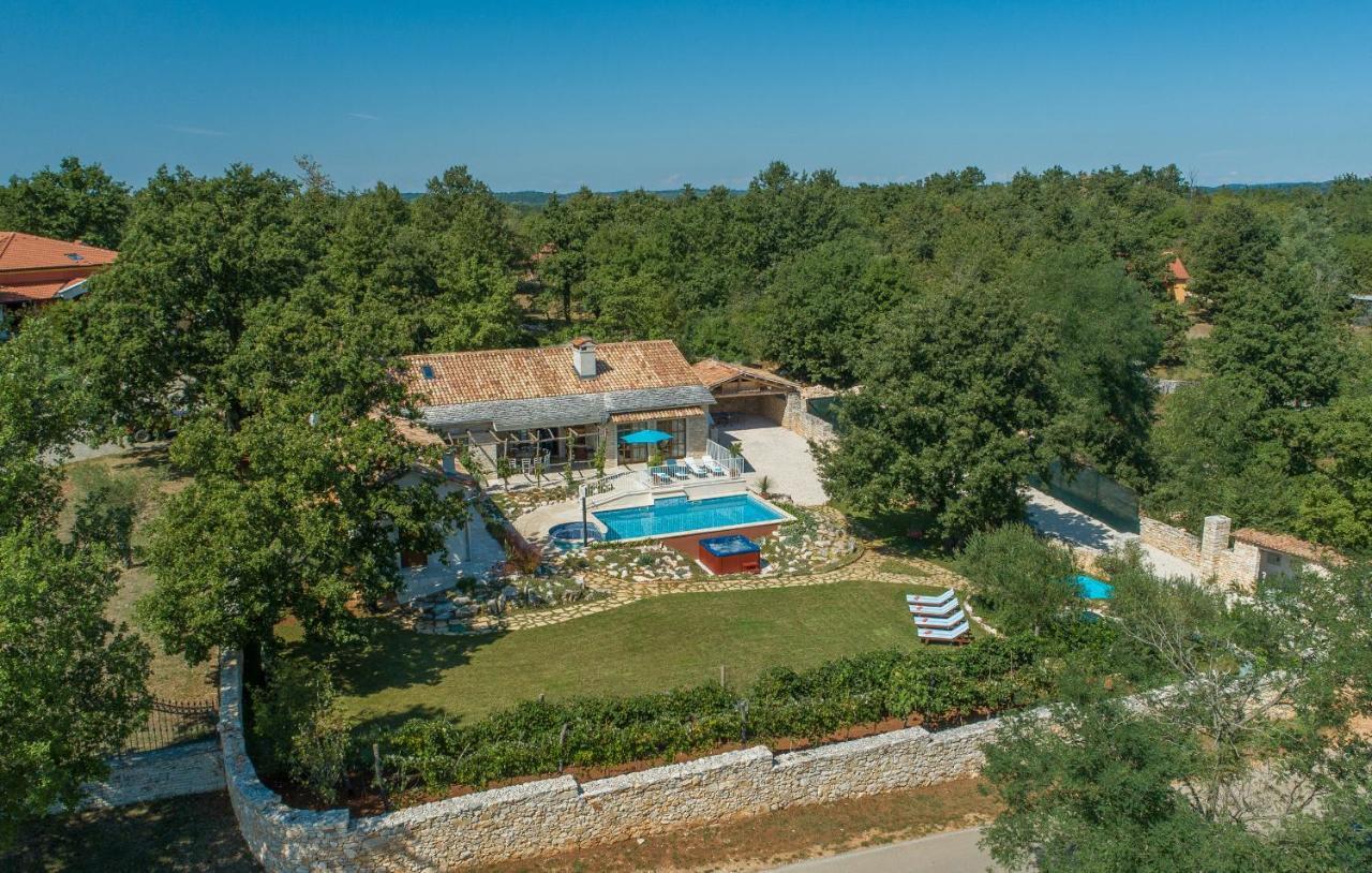 Family Villa Lipica With Private Pool And Jacuzzi 帕津 外观 照片