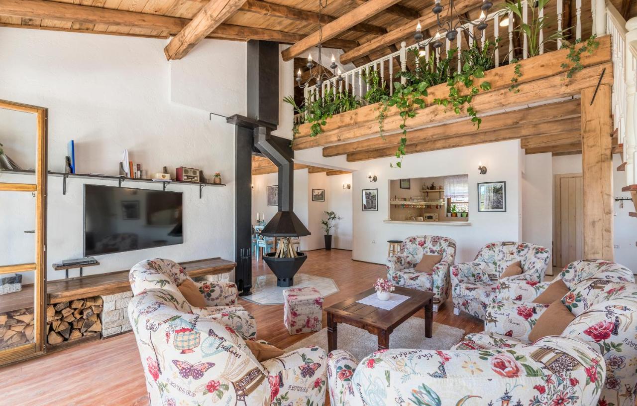 Family Villa Lipica With Private Pool And Jacuzzi 帕津 外观 照片