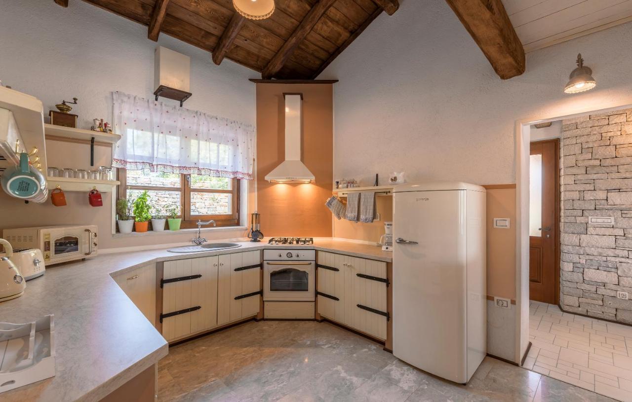 Family Villa Lipica With Private Pool And Jacuzzi 帕津 外观 照片