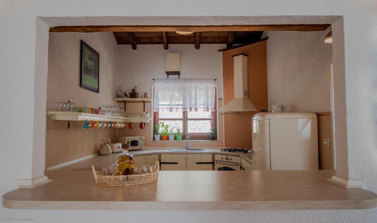 Family Villa Lipica With Private Pool And Jacuzzi 帕津 外观 照片